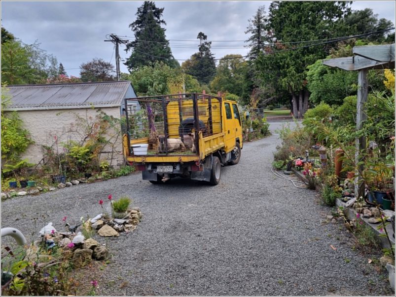 Here, those same three sheep are in a vehicle in my driveway on their way north. This is the view from my front door; theres a local park across the road here in Masterton. Photo: Ian Stewart.